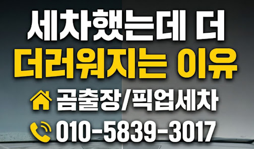 안양출장세차와 픽업 세차 서비스의 결합이 가져오는 일상 속 편의성 - 곰출장세차