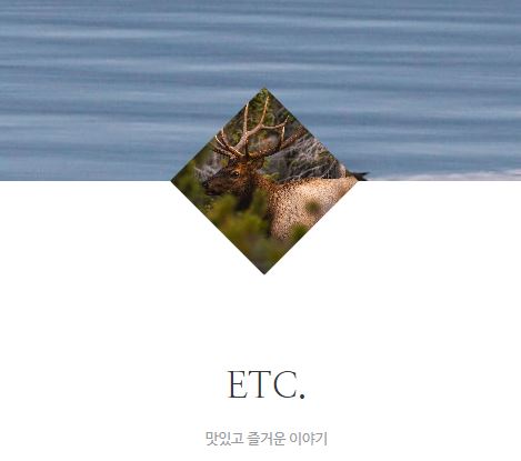 태상의 미니샵이 프리라이프 정보 사이트로 성장한 과정